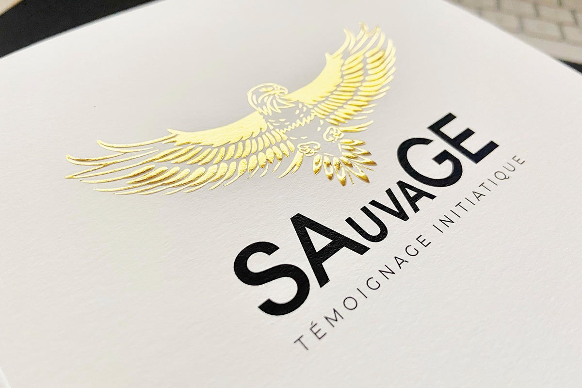 Image hover effect image